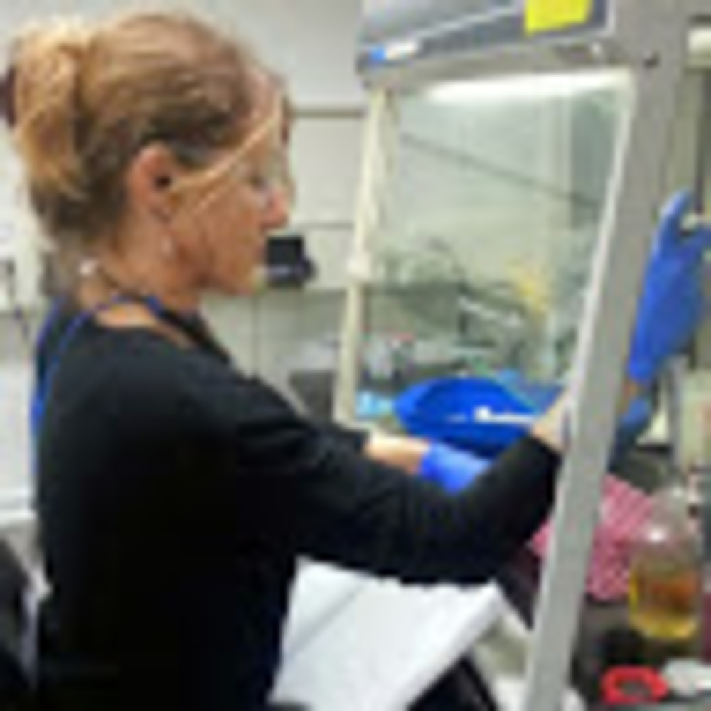 Meet your Posher, Ce